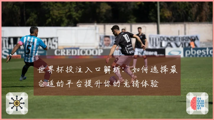 世界杯投注入口解析：如何选择最合适的平台提升你的竞猜体验