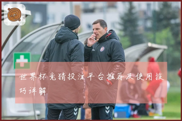 世界杯竞猜投注平台推荐及使用技巧详解