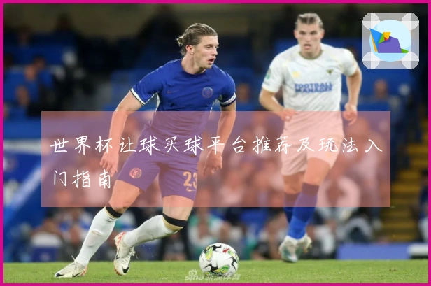 世界杯让球买球平台推荐及玩法入门指南